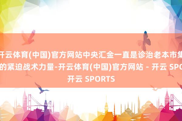 开云体育(中国)官方网站中央汇金一直是诊治老本市集踏实的紧迫战术力量-开云体育(中国)官方网站 - 开云 SPORTS